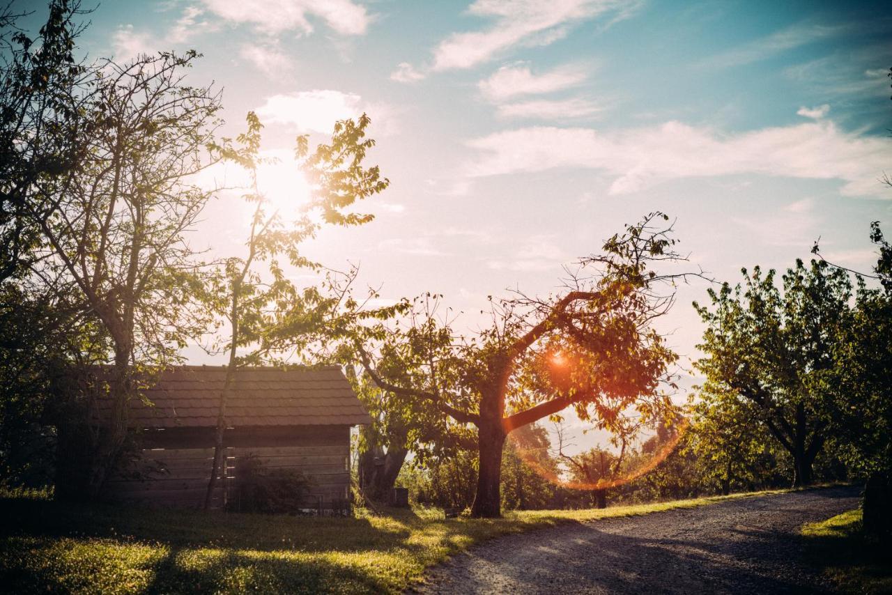 Landgasthof Keller Юберлінген Екстер'єр фото